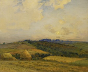 Landscape of a field